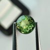 Natural Demantoid Garnet 0.38 ct - Rare Brilliance - 0.38 carat natural demantoid garnet from Namibia, vivid green color and very good clarity.