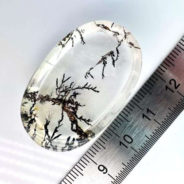 Rare Dendritic Quartz 55,90 ct / 37x23x7 mm - Jamel Gems