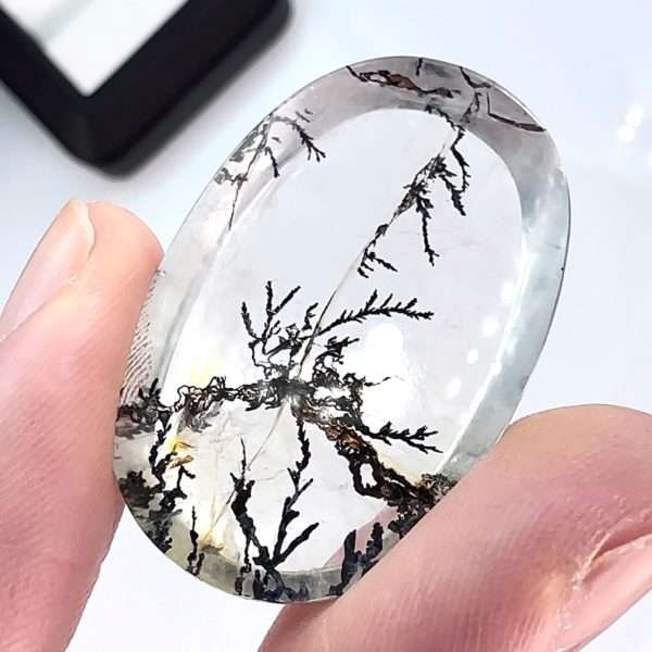 Rare Dendritic Quartz 55,90 ct / 37x23x7 mm - Jamel Gems