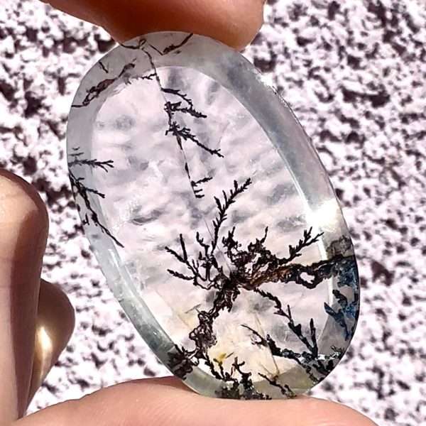 Rare Dendritic Quartz 55,90 ct / 37x23x7 mm - Jamel Gems