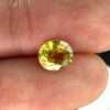 Yellow sapphire 1.68 ct / 7,7x6,6 mm - Jamel Gems