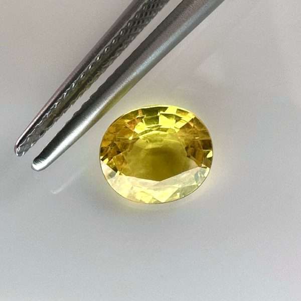 Yellow sapphire 1.68 ct / 7,7x6,6 mm - Jamel Gems