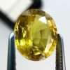 Yellow sapphire 1.68 ct / 7,7x6,6 mm - Jamel Gems