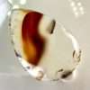 Buy Montana Agate - Cabochon Stone - Jamel Gems